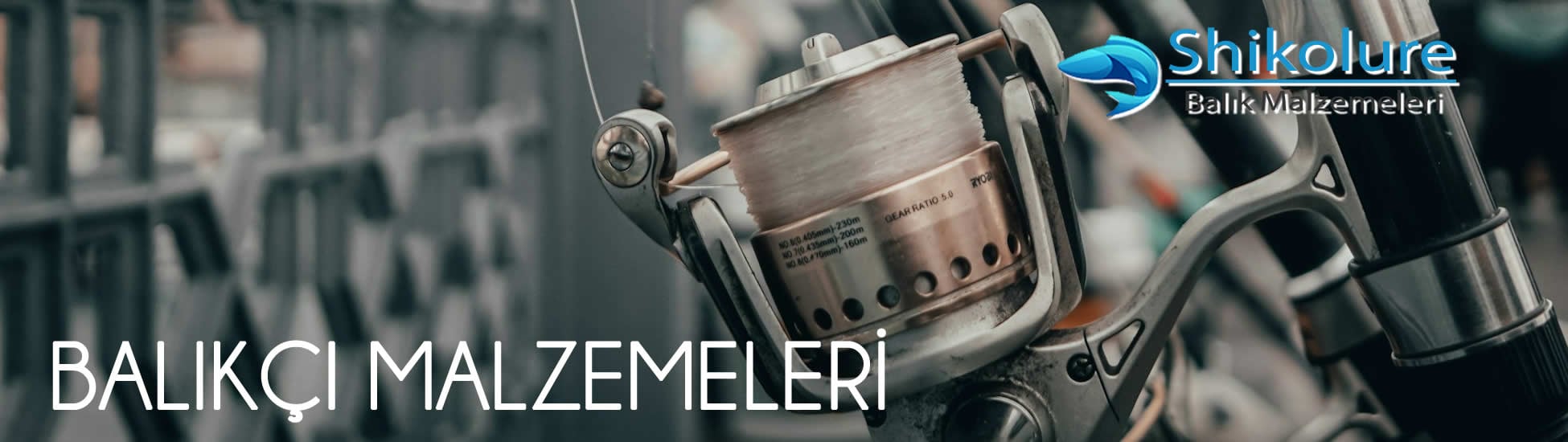 banner2