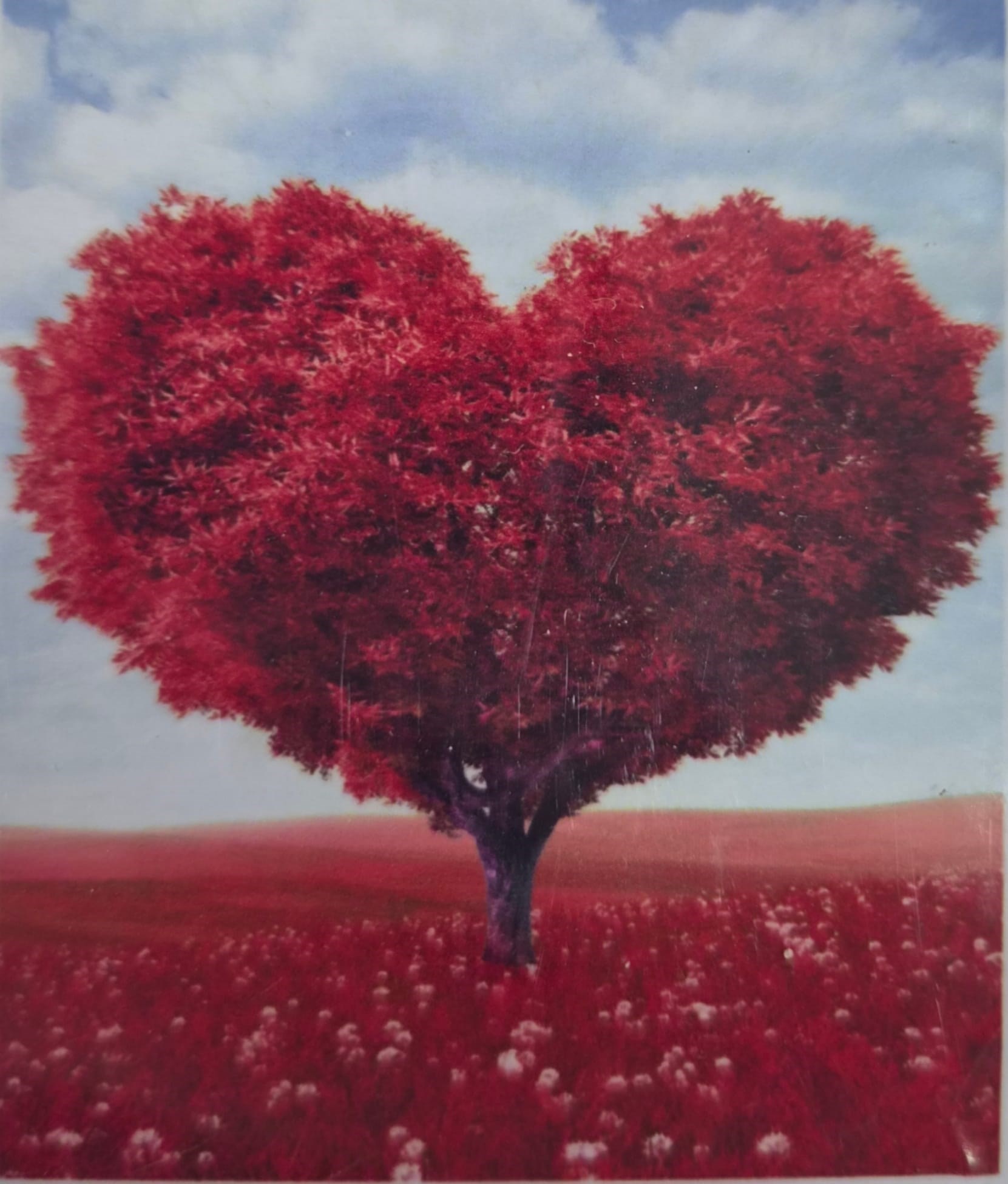 Boncuk İşleme Kiti 50 x 40 Kalp Ağacı