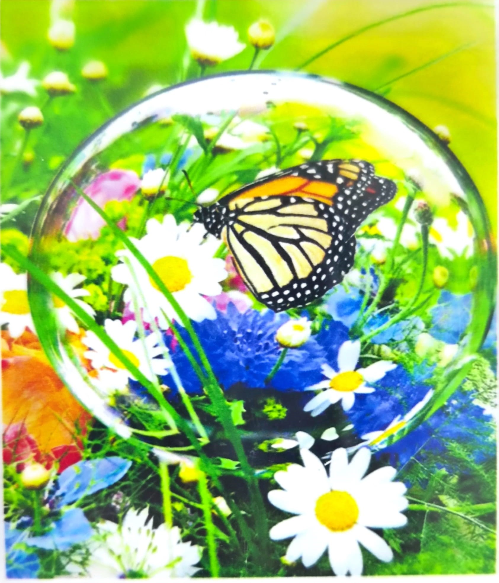 Elmas Mozaik Tablo, 50x40cm Kelebek Boncuk Yapıştırma Kiti 