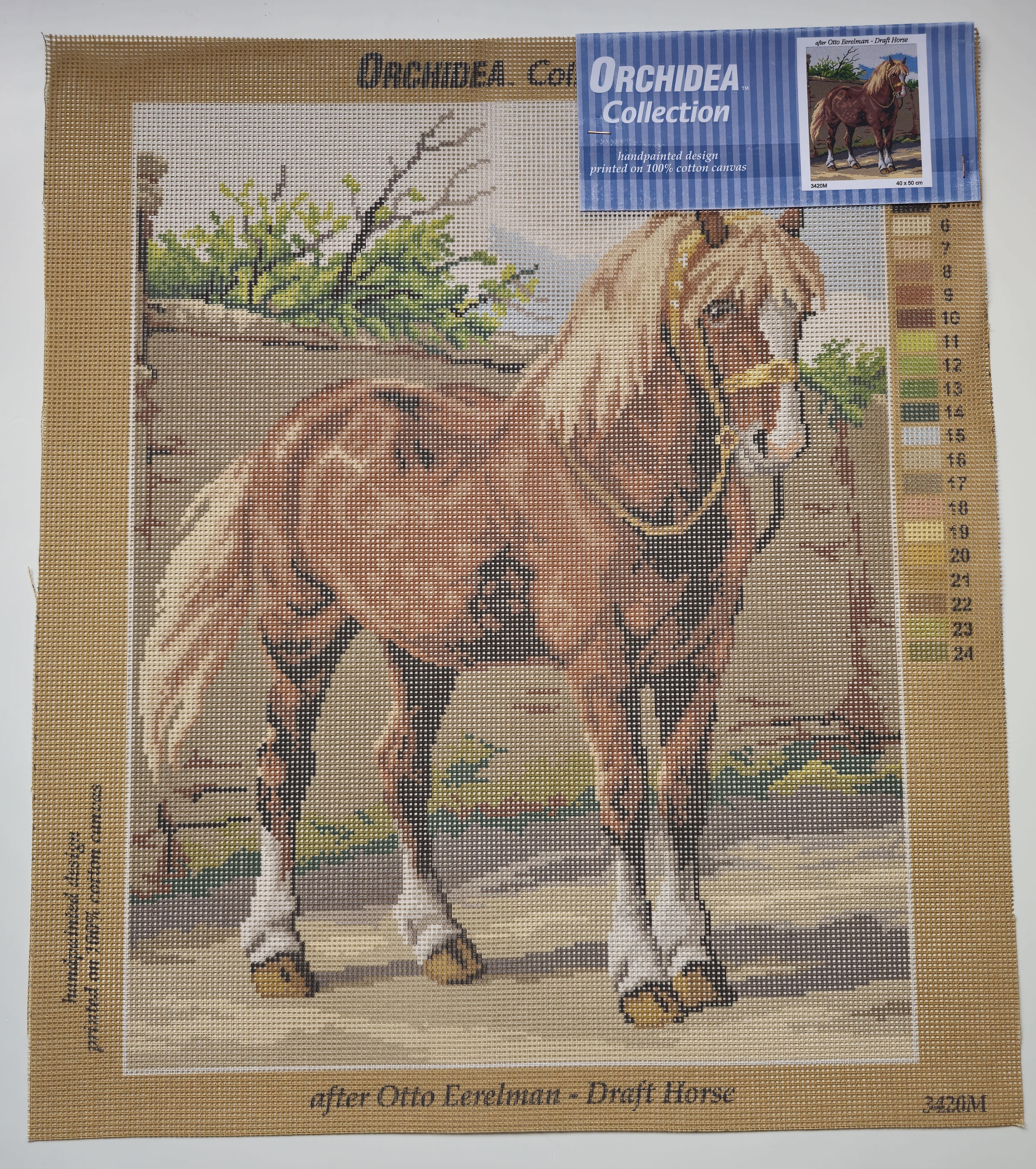 Orchidea Goblen 3420M 40x50
