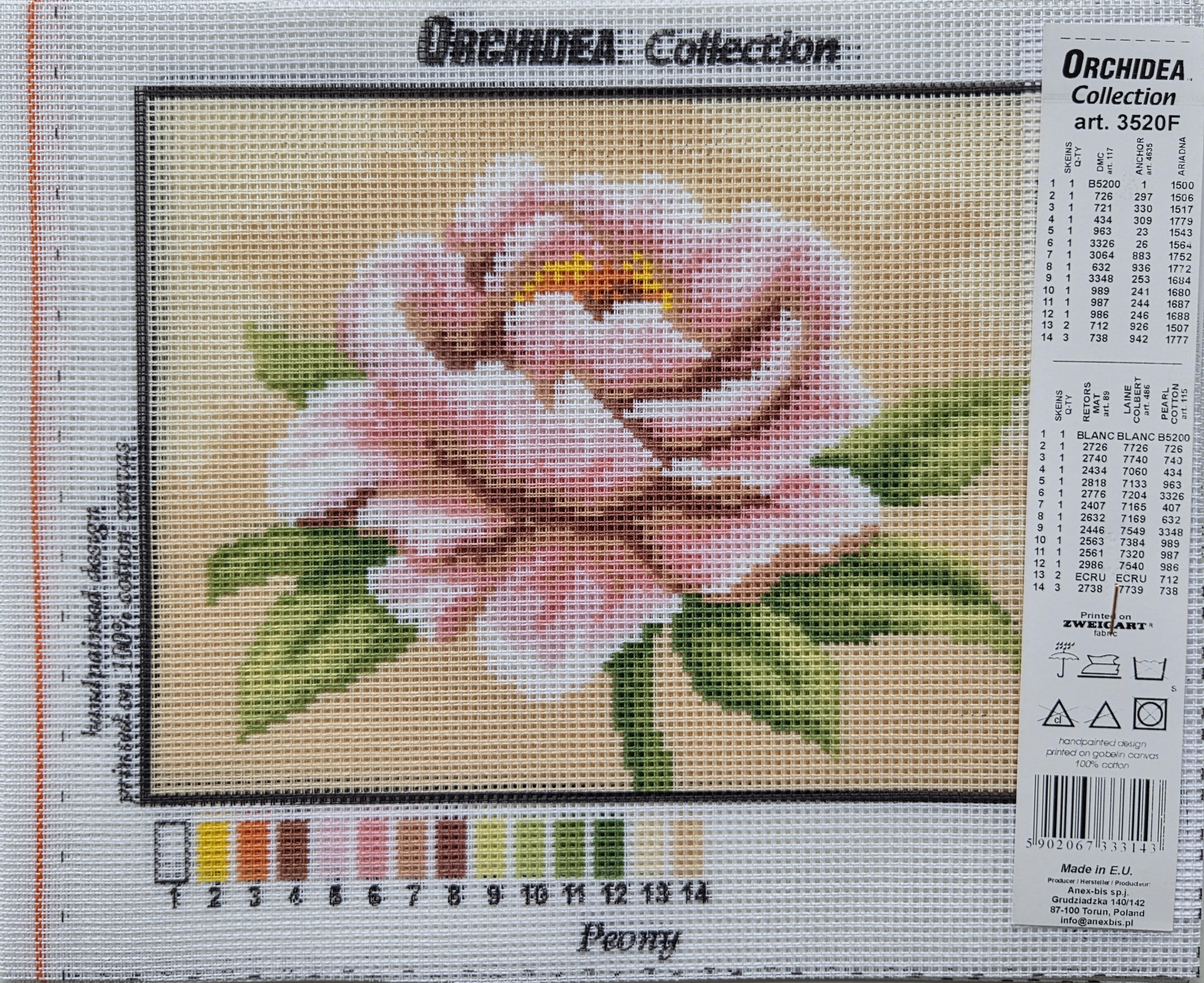 Orchidea Goblen 3520F 18x24