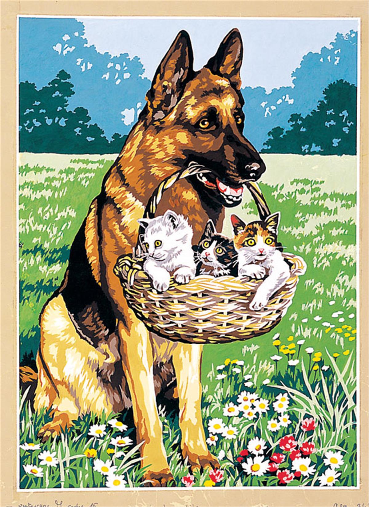 SEG GOBLEN 45X60CM