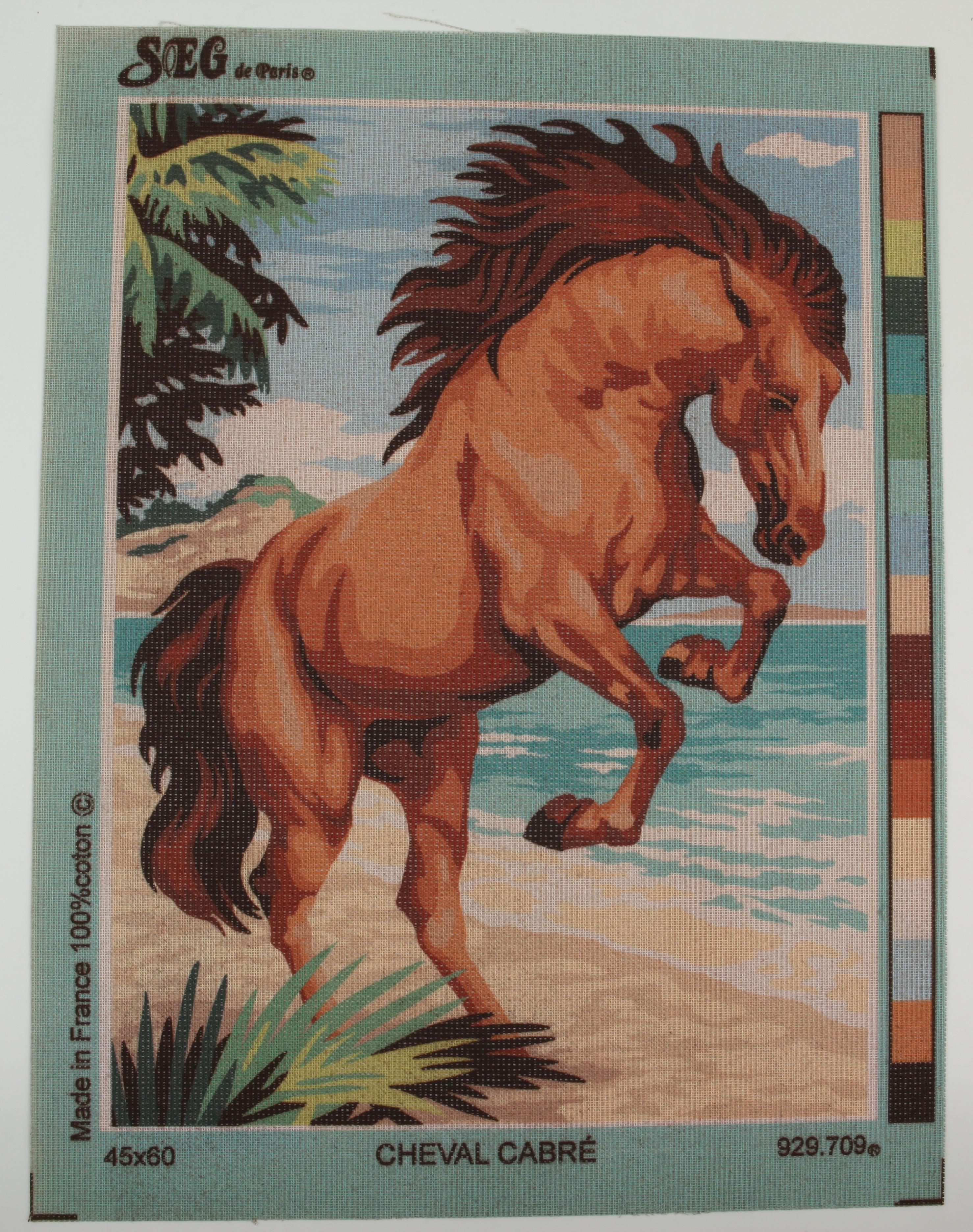 SEG GOBLEN 45X60CM