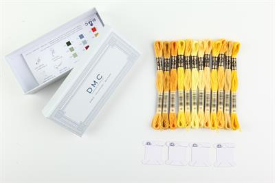 Dmc Kutu Hediyeli Muline İplik Seti - Sarı Renkler