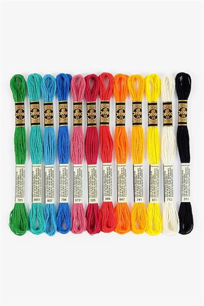 Dmc Kutu Hediyeli Muline 12li Set - Canlı Renkler
