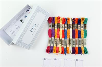 Dmc Kutu Hediyeli Muline 14lü Set - Termal Renkler