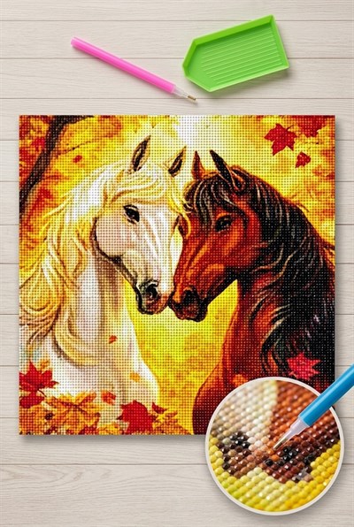 Elmas Mozaik Tablo, 30x30cm İki At Boncuk Yapıştırma Kiti  