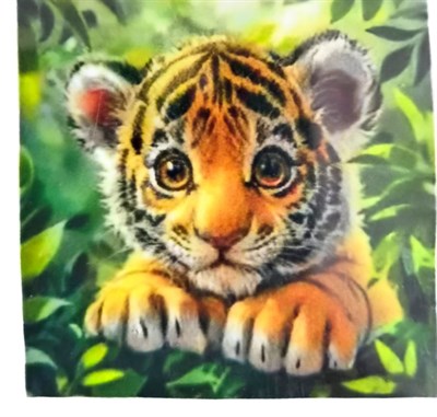 Elmas Mozaik Tablo, 30x30cm Yavru Kaplan Boncuk Yapıştırma Kiti  