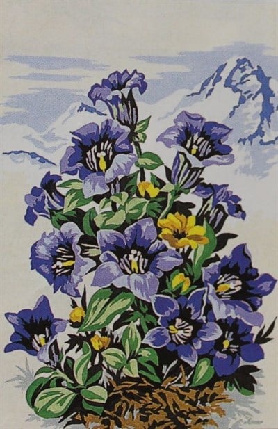SEG GOBLEN 30x40CM