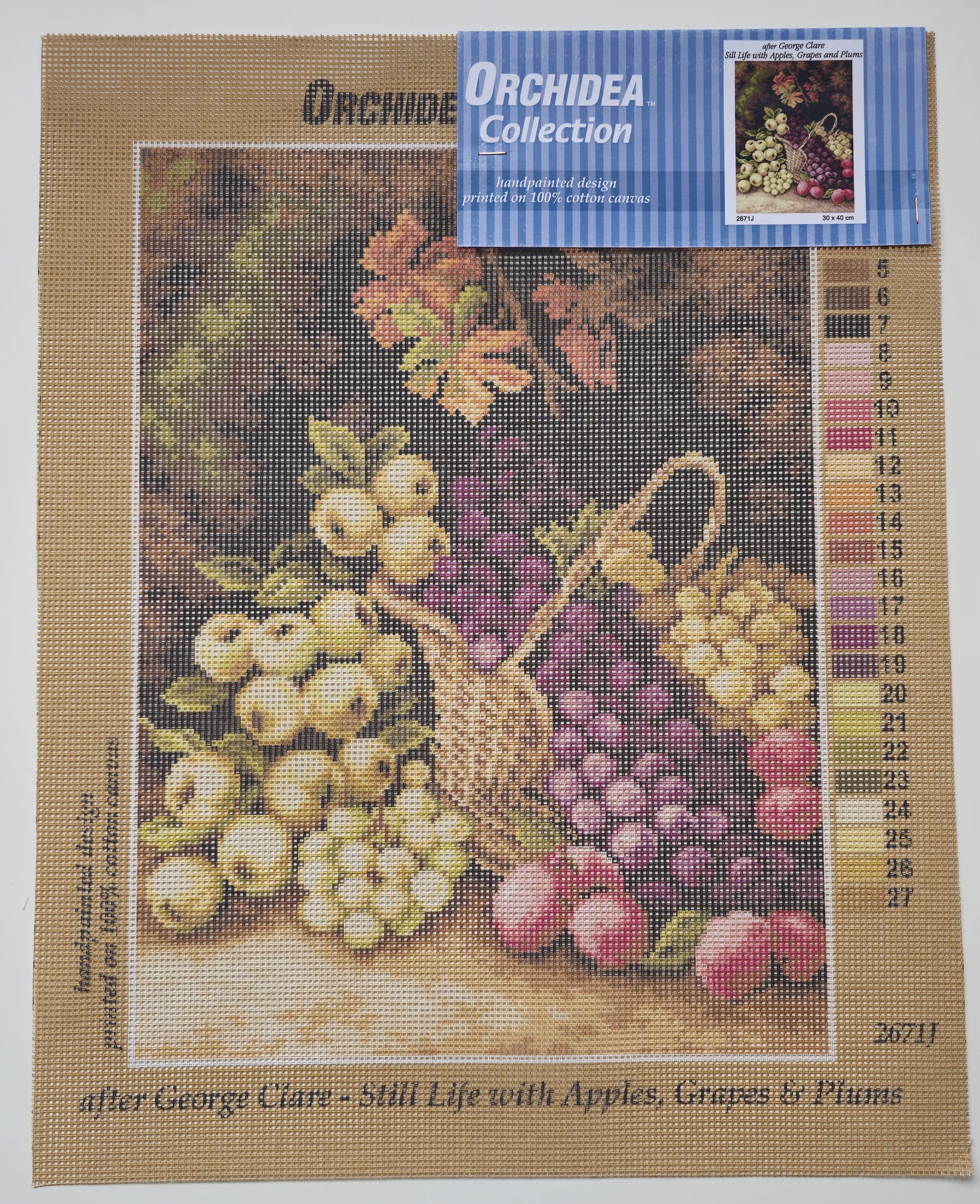 Orchidea Goblen 2671J 30x40