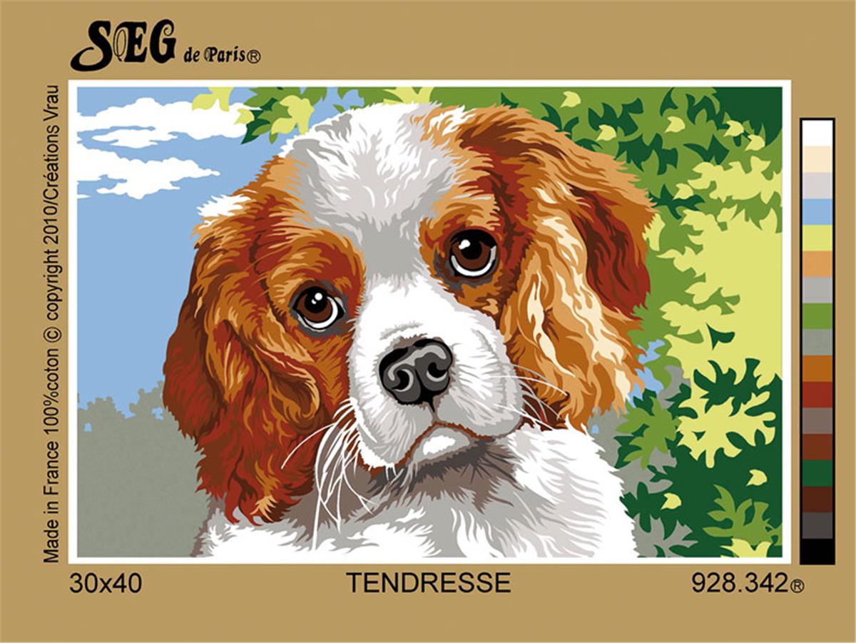 SEG GOBLEN 30x40CM