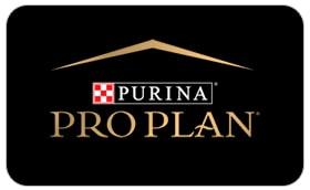 Pro Plan