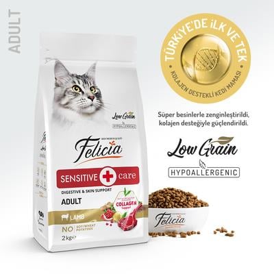 Felicia Az Tahıllı & Hipoalerjenik Kuzu Etli Yetişkin Kedi Maması 12 Kg