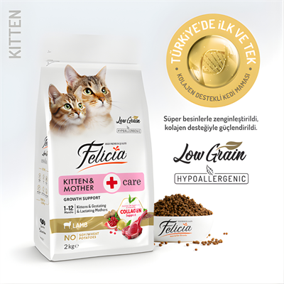 Felicia Hipoalerjenik Kuzu Etli Düşük Tahıllı Yavru Kedi Maması 1 kg
