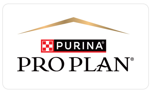 Pro Plan