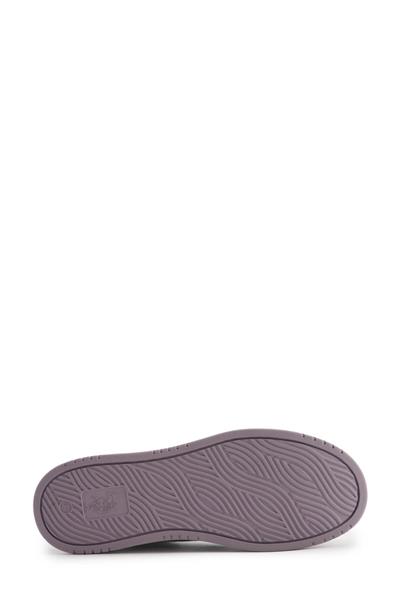 Us Polo TIANA 4PR 101887254 Beyaz-Lila Kadın Günlük Sneakers