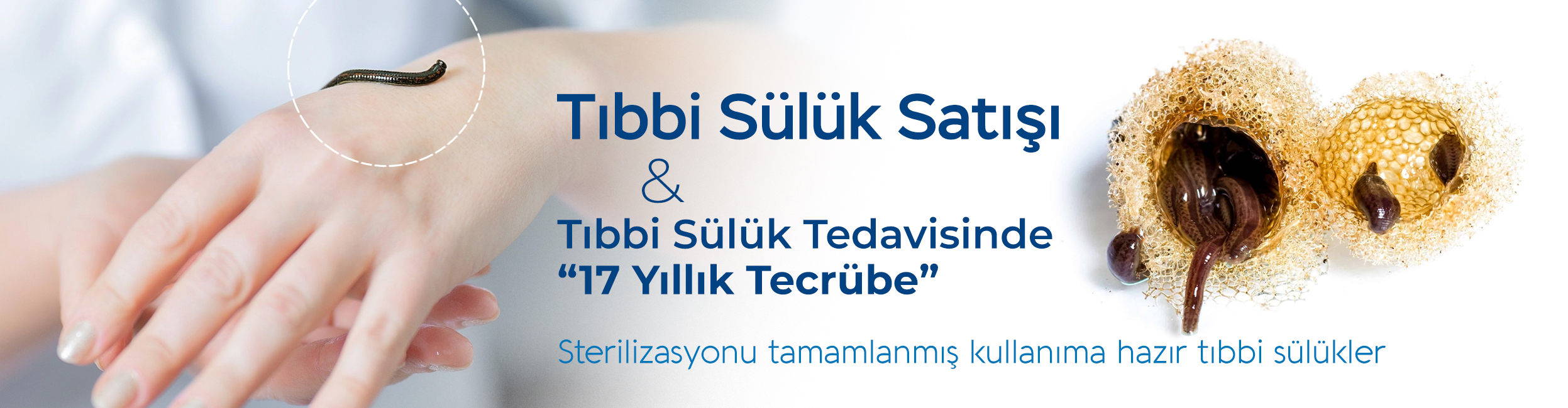 Tıbbi Sülük Satışı