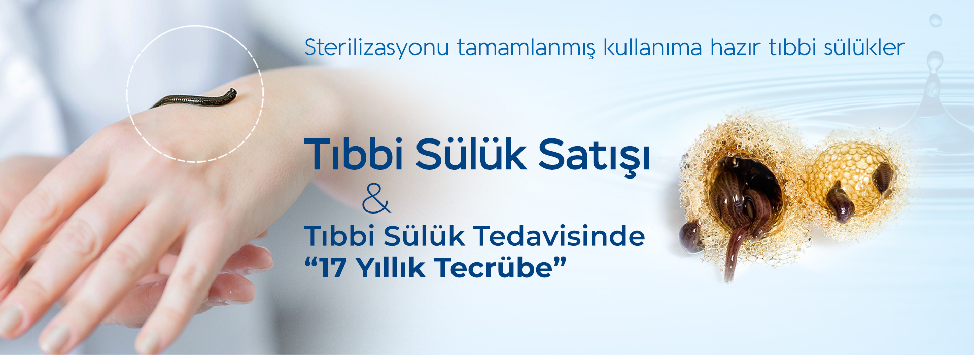 Tıbbi Sülük Satışı
