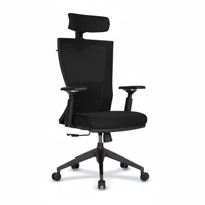 Hanger Yönetici Koltuğu | Ofis Koltuğu