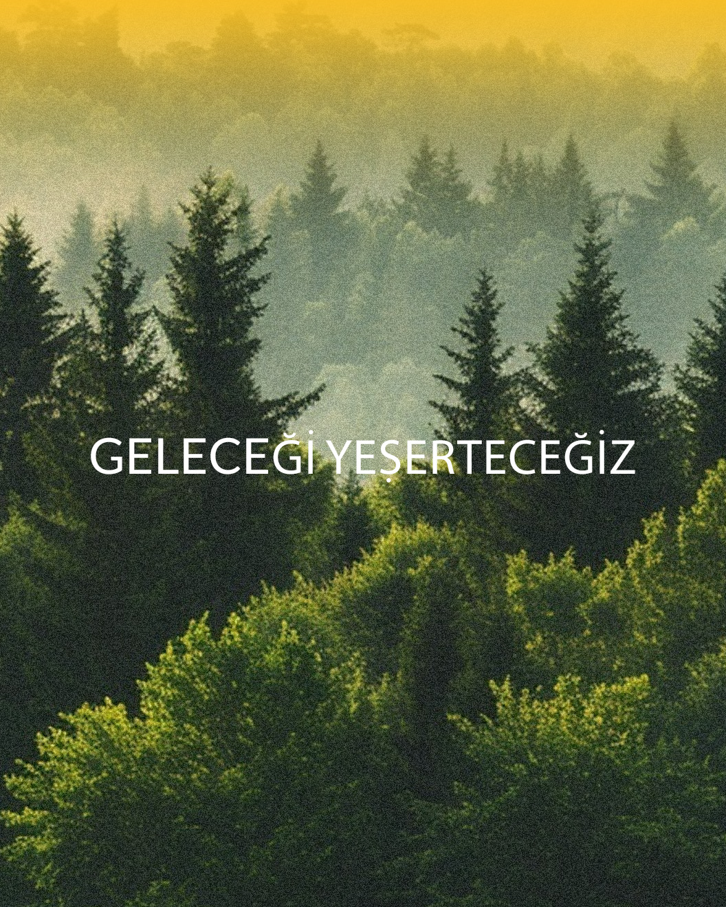 Desa Hatıra Ormanı