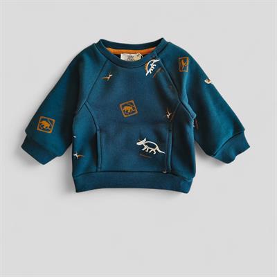 9 Ay–5 Yaş Dinozor Baskılı Erkek Çocuk Cepli Sweathirt