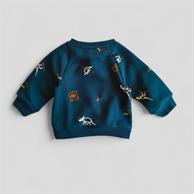 9 Ay–5 Yaş Dinozor Baskılı Erkek Çocuk Cepli Sweathirt