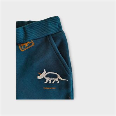 9 Ay–5 Yaş Dinozor Baskılı Erkek Çocuk Eşofman