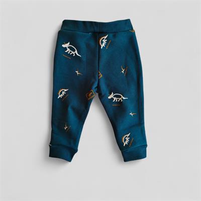 9 Ay–5 Yaş Dinozor Baskılı Erkek Çocuk Eşofman