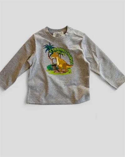 Gri Dinozor Baskılı Uzun Kollu Erkek Çocuk T-shirt