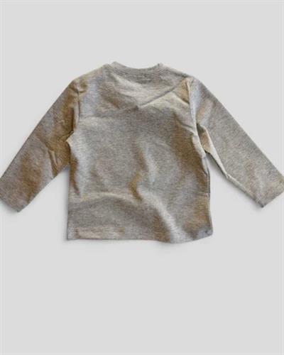 Gri Dinozor Baskılı Uzun Kollu Erkek Çocuk T-shirt