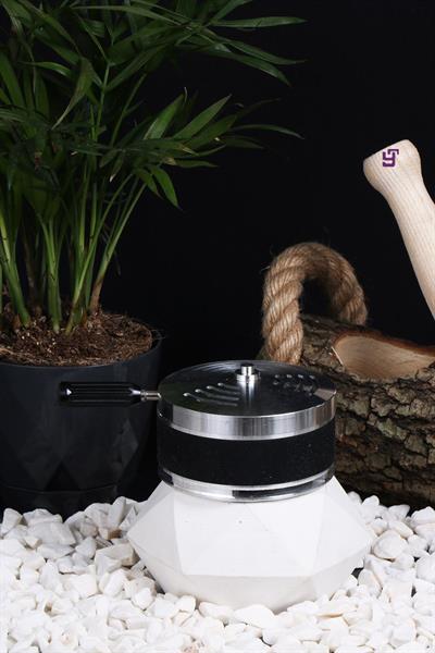 Colorful Lotus Green