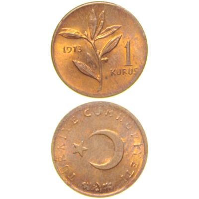 1 Kuruş - 1973  - ÇİL (TCM8)