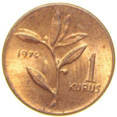 1 Kuruş - 1974  - ÇİL (TCM9)