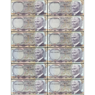 6. Emisyon Harf Takım 5 Lira - ÇİL - 12 Adet