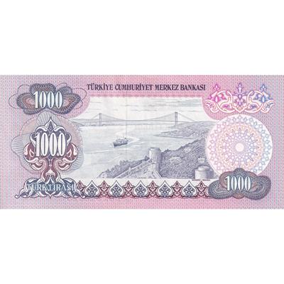 6. Emisyon 2. Tertip 1000 Lira - ÇİL 