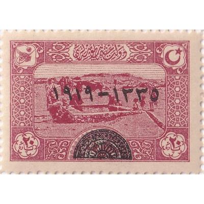 Sultan Vahdettinin Cülus Yıldönümü Hatıra Pulu - 1920 - 20 Para - 25li Tabaka