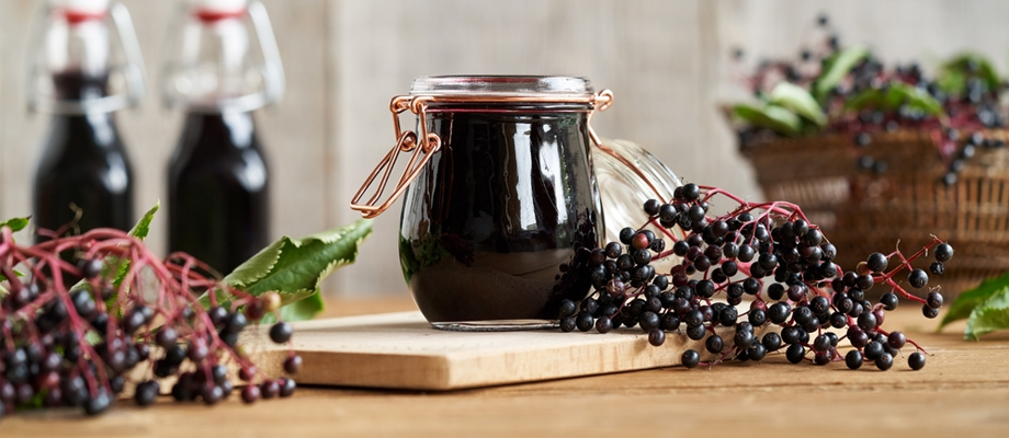 Kara Mürverin Bağışıklığa Etkisi (Sambucus Nigra)