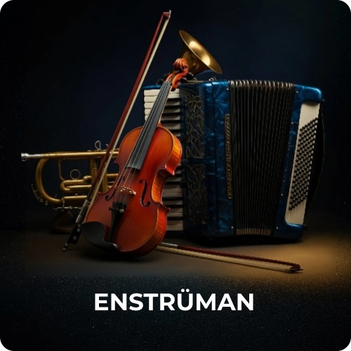 Enstrüman