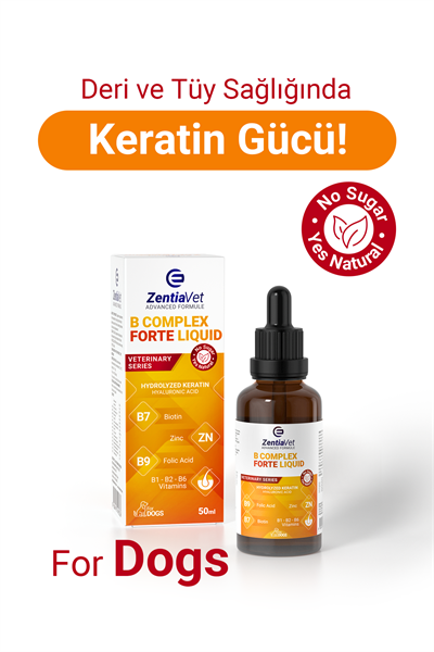 B COMPLEX FORTE LIQUID 50 ML-DOG