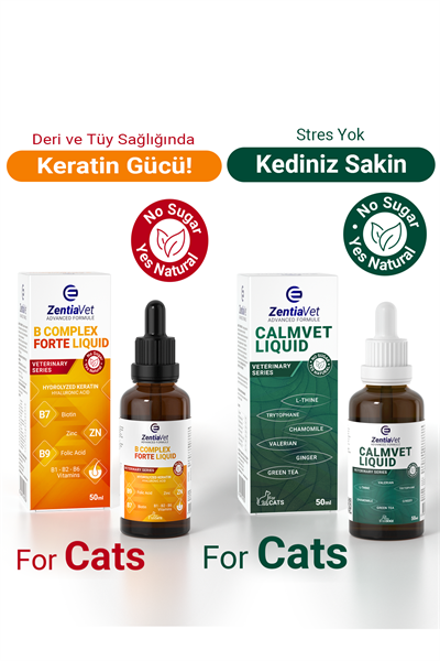B Komplex Kedi ile Calmvet Kedi