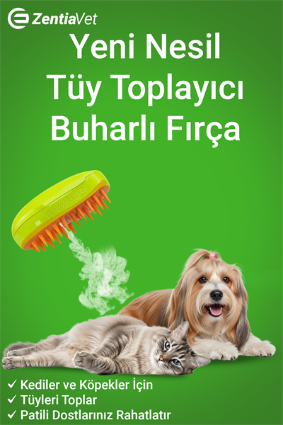 Buharlı Kedi Köpek Tarağı Yeni Nesil Tüy Alma Tarağı