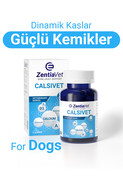 CALSİVET-DOG