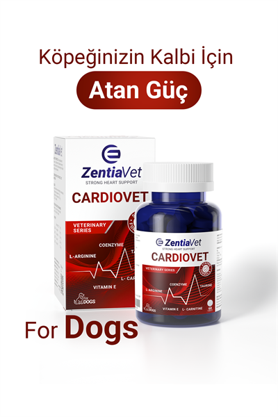 CARDIOVET-DOG