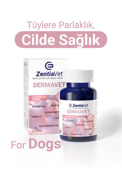DERMAVET-DOG