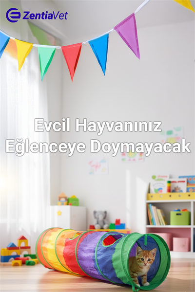 Düz Kedi Tüneli Katlanır Gökkuşağı Uzun Düz Kedi Köpek Oyun Tüneli Evcil Hayvan Oyun Tüneli 1 Adet