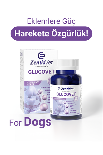 GLUCOVET-DOG