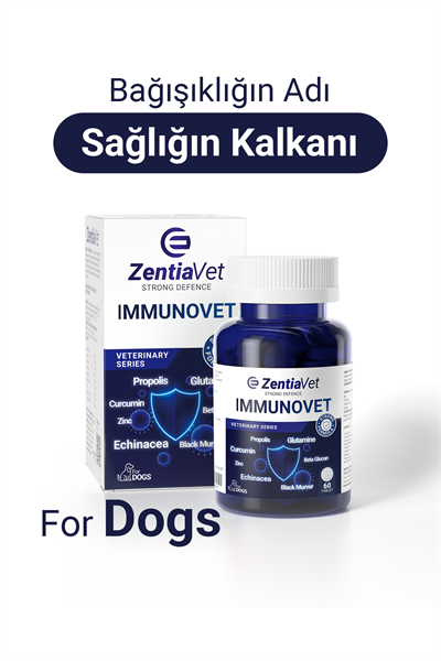 IMMUNOVET DOG 60 TABLET