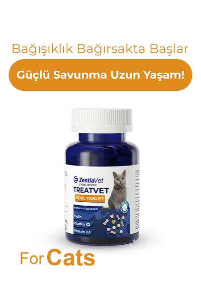 Kedi Bağışıkllık Güçlendirici Ödül Tablet Kedi Vitamini Kedi Ödül Maması Kediler İçin Probiyotik