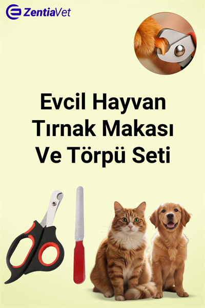 Kedi ve Köpek Evcil Hayvan Pet Bakımı Tırnak Kesme Makası Pati Törpüleme Aleti Kedi Yatağı
