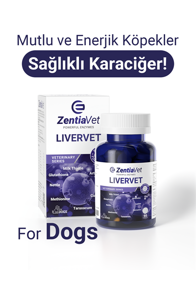 LİVERVET-DOG